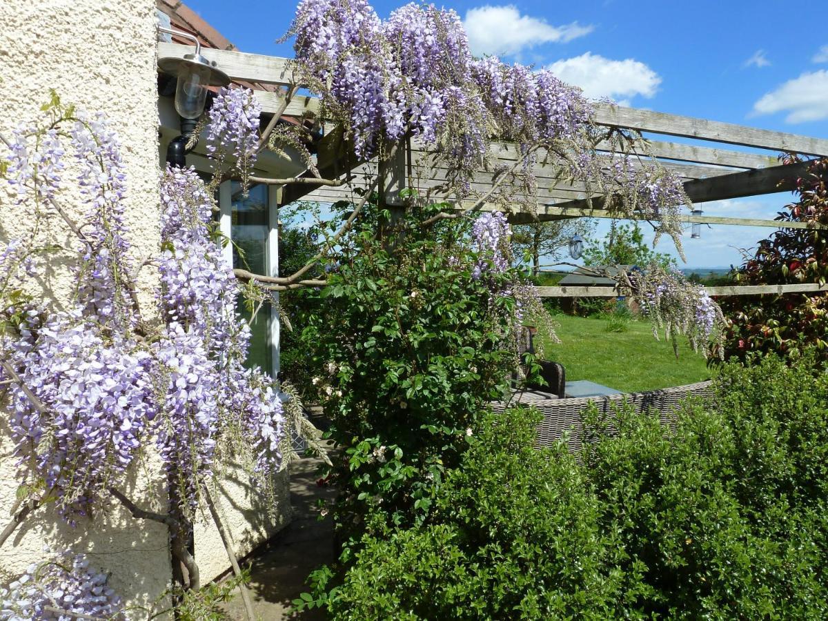 The Lodge, At Orchard Cottage Much Marcle Bagian luar foto