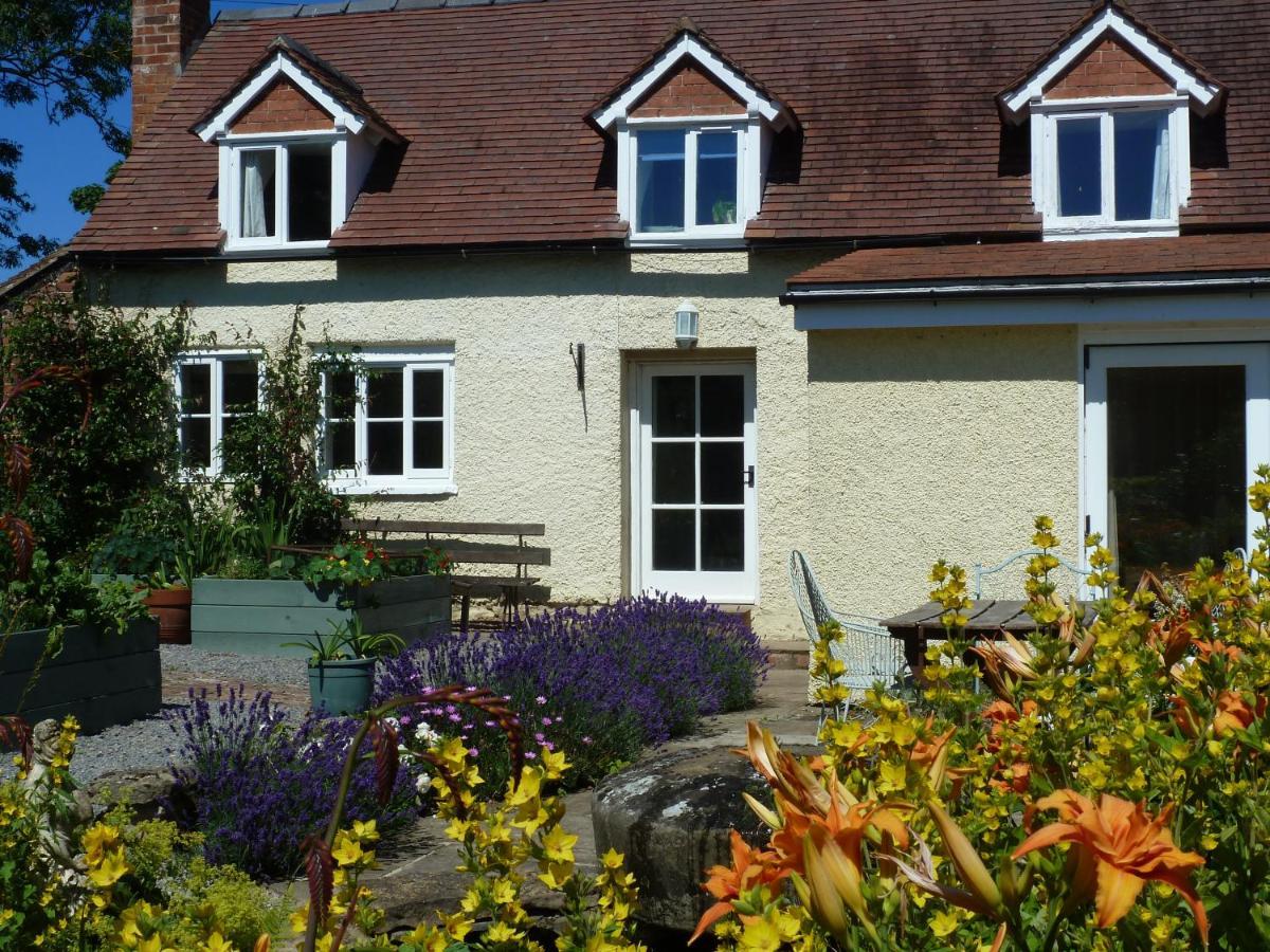 The Lodge, At Orchard Cottage Much Marcle Bagian luar foto